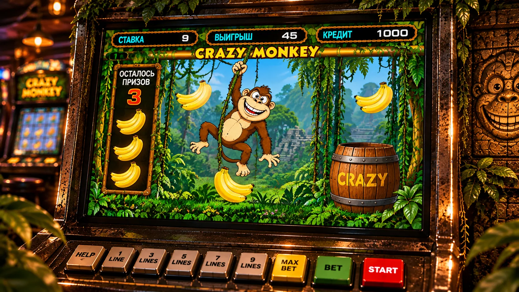 Crazy Monkey — Бонусная игра Crazy Monkey: что скрывается за верёвками